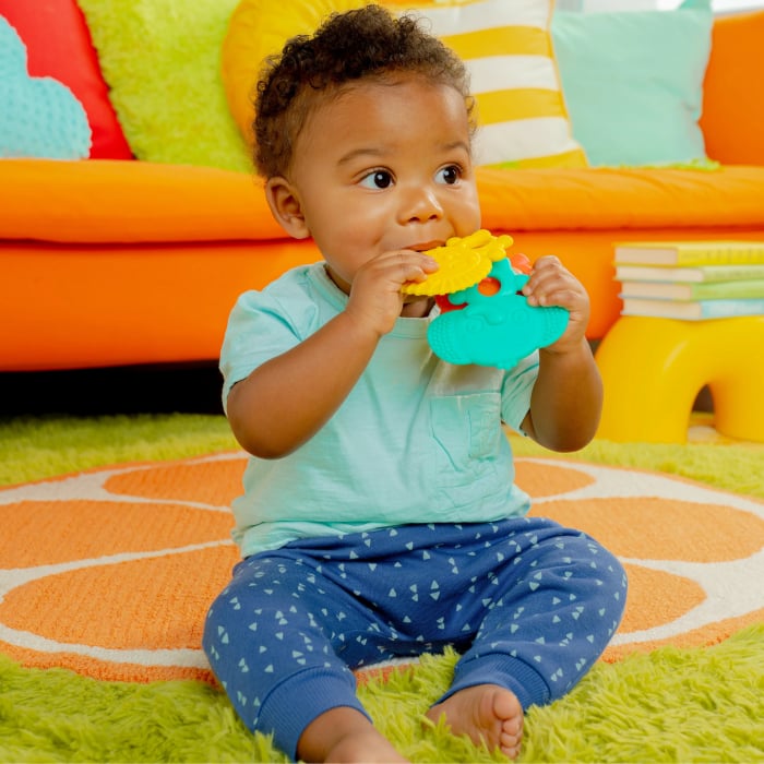 Bright Starts - Set 3 jucarii de dentitie texturate Gummy Buddies -  Elefant, Leu, Maimuta [7]