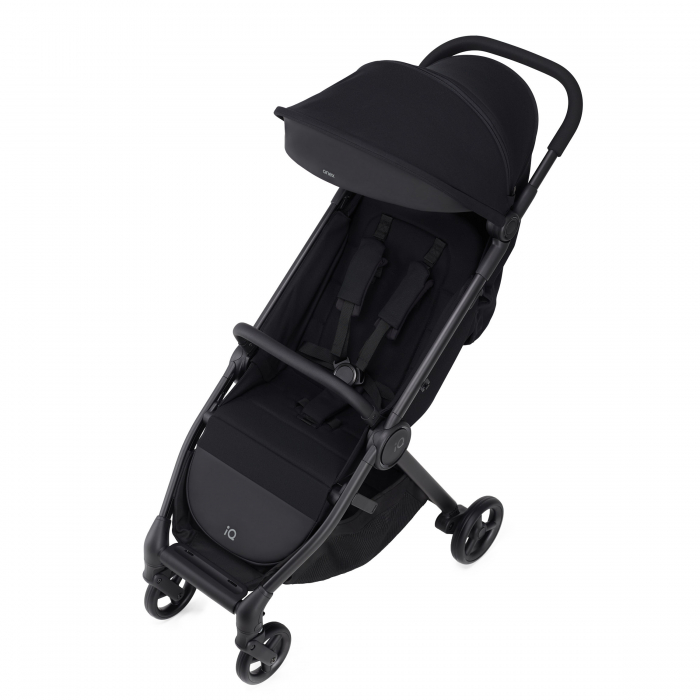 Carucior 2 in 1 Anex IQ [12]