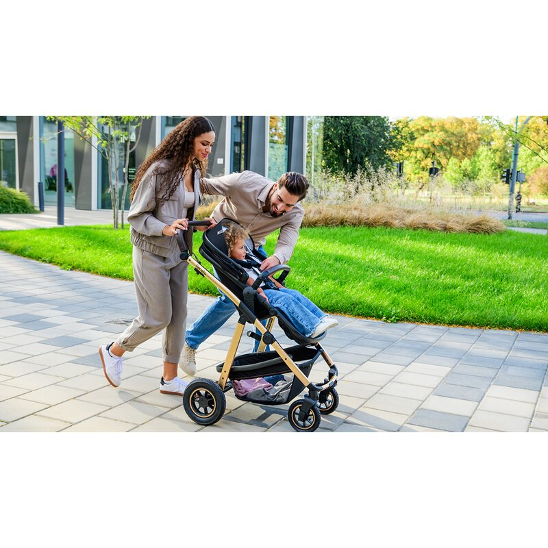 Carucior 3 in 1, Lionelo, Amber, Cadru aluminiu, Cu landou intarit si salteluta moale, Cu scoica auto testata ADAC, Reversibil, Cu accesorii, Geanta parinti, Pana la 22 kg, EN1888-1 EN1888-2 EN1466 EC [54]
