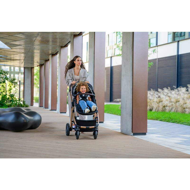 Carucior 3 in 1, Lionelo, Amber, Cadru aluminiu, Cu landou intarit si salteluta moale, Cu scoica auto testata ADAC, Reversibil, Cu accesorii, Geanta parinti, Pana la 22 kg, Bej [59]