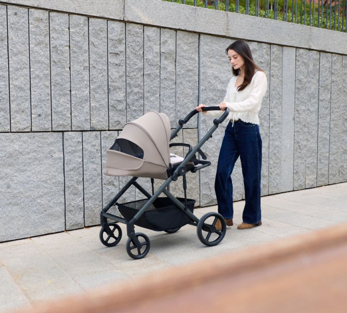 Carucior Anex Modu [14]