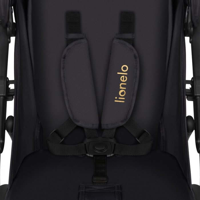 Carucior sport, Lionelo, Annet Plus Golden Moments, Editie limitata, De la nastere, Cu accesorii si capotina XXL reglabila, 0 - 22 Kg, Conform cu standardele europene de securitate EN1888-1 si EN1888- [16]