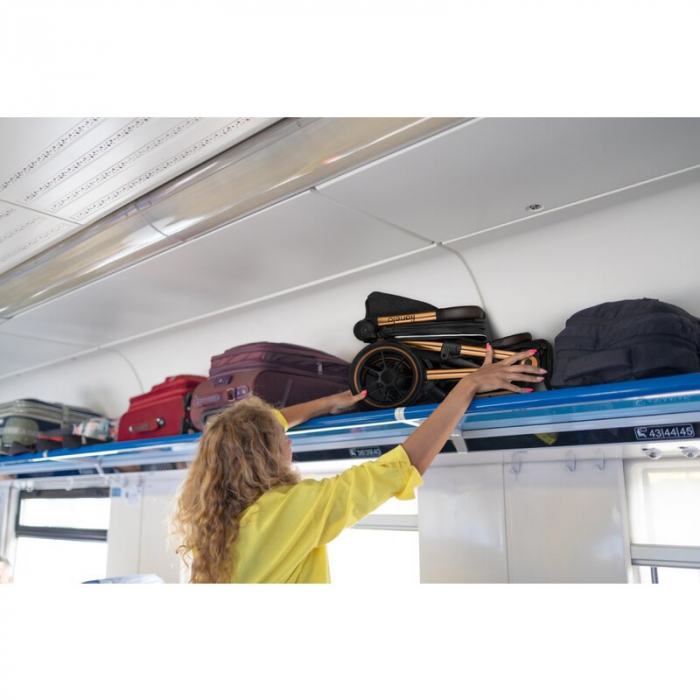 Carucior sport, Lionelo, Cloe, Golden Moments, Editie limitata, Cu accesorii, Cadru din aluminiu, Pana la 22 kg, Usor, Pliere compacta pentru avion, cu o singura mana, Ideal pentru toate tipurile de s [19]