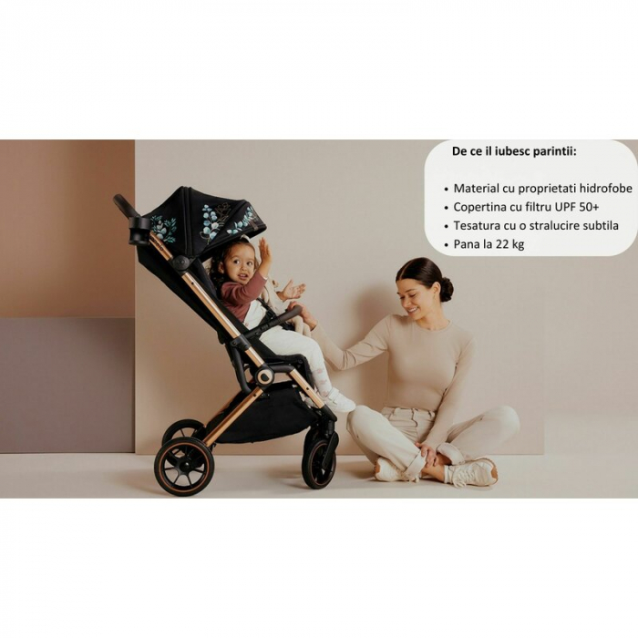 Carucior sport, Lionelo, Cloe, Golden Moments, Editie limitata, Cu accesorii, Cadru din aluminiu, Pana la 22 kg, Usor, Pliere compacta pentru avion, cu o singura mana, Ideal pentru toate tipurile de s [25]
