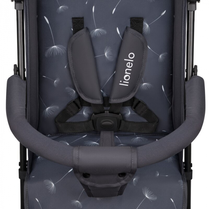 Carucior sport, Lionelo, Elia, Cu plasa de tantari, Conform cu standardul european de securitate EN1888-1, Gri inchis [6]