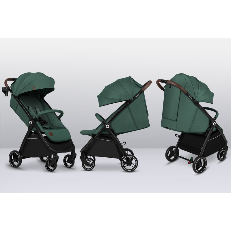 Carucior sport, Lionelo, Ingrid, Capotina impermeabila cu filtru UPF50+, Pana la 22 Kg, Spatar reglabil in 3 pozitii, Include suport pahar si plasa de tantari, Sistem pentru pliere automata, 6 luni+,  [20]