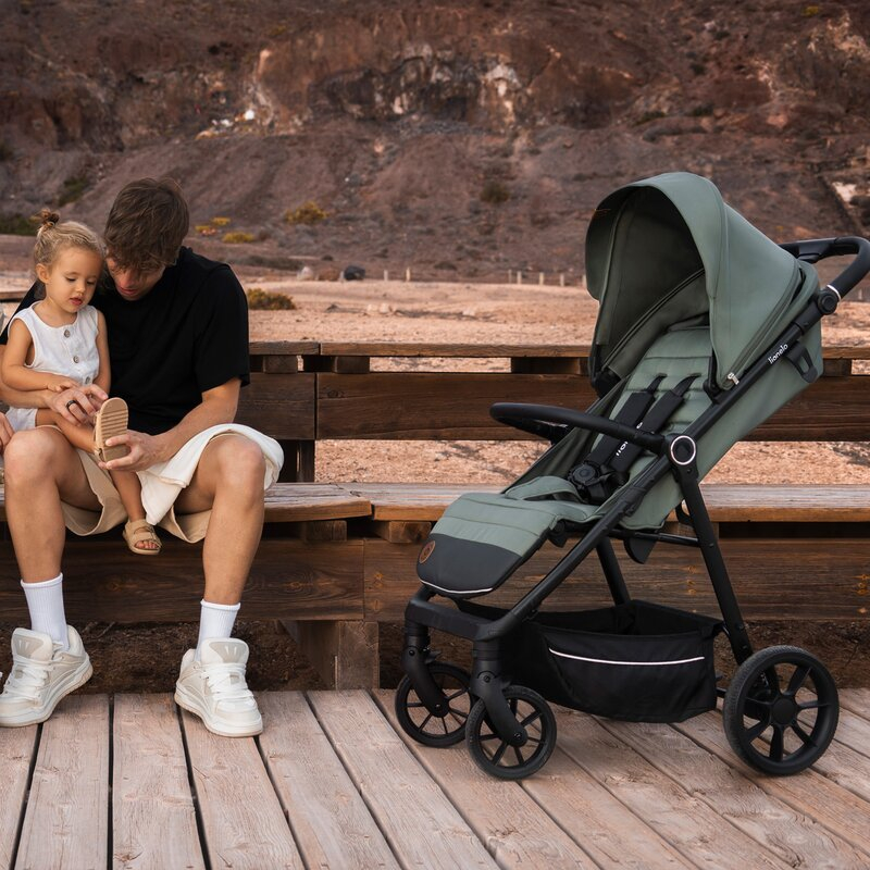 Carucior sport, Lionelo, Iva, Sustine 22 kg, 6 luni+, Capotina mare, Impermeabila, Protectie SPF 50+, 3 pozitii inclinare spatar, 8 pozitii inclinare suport picioare, 5 pozitii reglare maner, Include  [34]