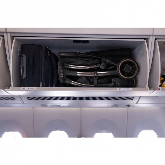 Carucior sport, Lionelo, Julie One, Editie limitata Golden Moments, De la nastere, Greutate redusa, Cu accesorii, Cadru din aluminiu, 0-22 kg, Pliere compacta pentru avion, Conform cu standardele euro [50]