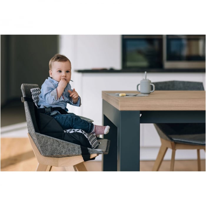 Inaltator scaun masa, FreeON, Fold and Go, Portabil 2 in 1, Conform cu standardele europene EN16120, EN71-3:2021, Black and White [9]