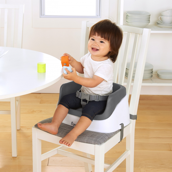 Ingenuity – Booster Toddler SmartClean Slate [3]
