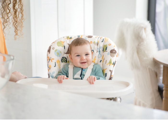 Joie – Scaun de masa Mimzy Snacker Alphabet [9]