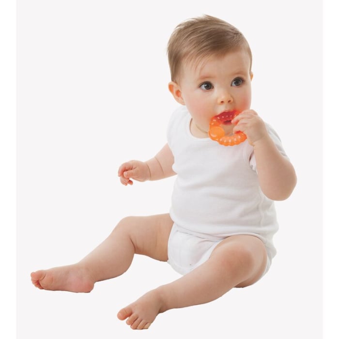 Jucarii de dentitie, Playgro, Cu apa, Set 3 piese, Bumpy Gums, Multicolor [2]