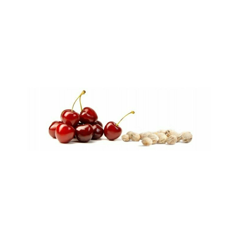 Pernuta anticolici, Qmini, Umpluta cu samburi de cirese, Cu husa din bumbac, Diametru 14 cm, Watermelon [13]