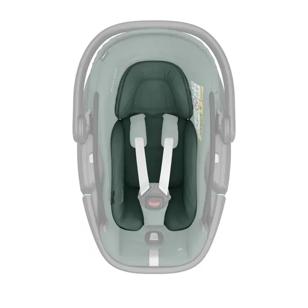 Scoica auto Maxi-Cosi Coral 360 [7]