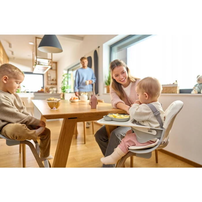 Set balansoar si scaun de masa, Lionelo, Dalia, Scaun cu 2 suporturi pentru picioare, Cu tavita, Balansoar 4 in 1 cu inaltime reglabia si bara cu jucarii, Conform cu EN14988, EN1888-1 EN1888-2, EN1466 [11]