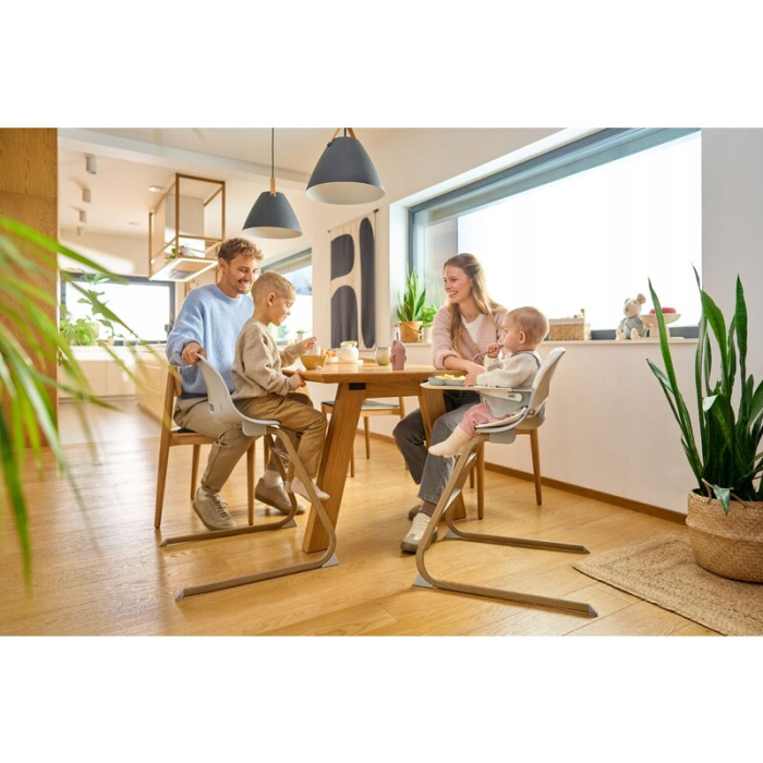 Set balansoar si scaun de masa, Lionelo, Dalia, Scaun cu 2 suporturi pentru picioare, Cu tavita, Balansoar 4 in 1 cu inaltime reglabia si bara cu jucarii, Conform cu EN14988, EN1888-1 EN1888-2, EN1466 [9]