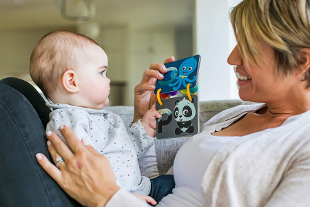 Baby Einstein - Jucarie Cartonase cu Alfabetul de la A la Z [1]