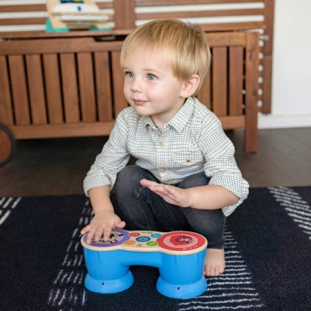 Baby Einstein - Jucarie muzicala Tobe Hape Magic Touch [1]