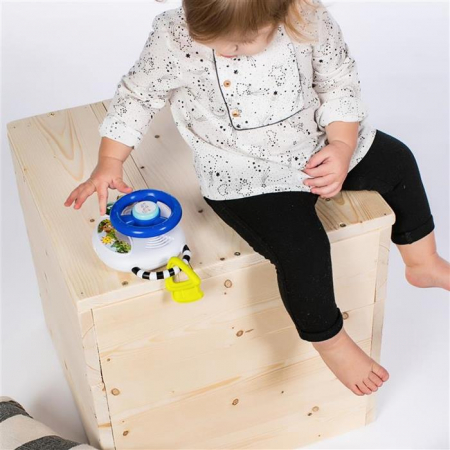Baby Einstein - Jucarie volan muzical cu lumini Driving Tunes [3]