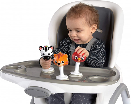 Baby Einstein - Set 3 jucarii multisenzoriale in forma de animalute [1]