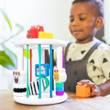 Baby Einstein - Set de jucarii senzoriale Zen & Cal's Playground [16]
