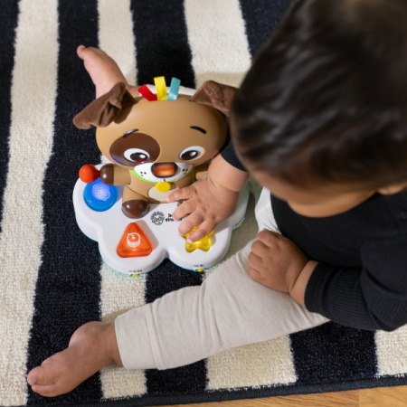 Baby Einstein - Toba muzicala, "Drum & Learn Dean" [15]