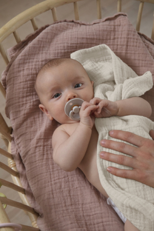 BIBS - Set de 2 museline 70x70 cm, Sage [1]