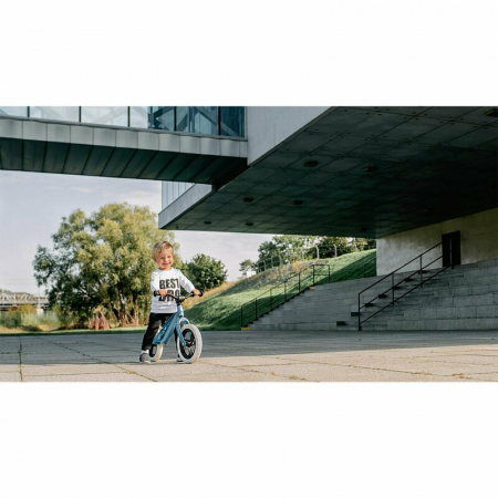 Bicicleta fara pedale, Lionelo, Bart, Usoara, Cu cadru din magneziu, Cu ghidon si sa reglabile, Greutate 3 Kg, 12 inch, Conform cu standardul european de securitate EN71, Auriu [9]