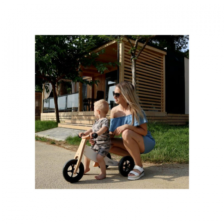 Bicicleta/tricicleta fara pedale, Free2Move, Din lemn, 2 in 1, Functie de bicicleta echilibru, Sa reglabila, Manere antiderapante, Roti ajustabile, 18 luni - 3 ani, Conform cu standardele europene EN7 [2]