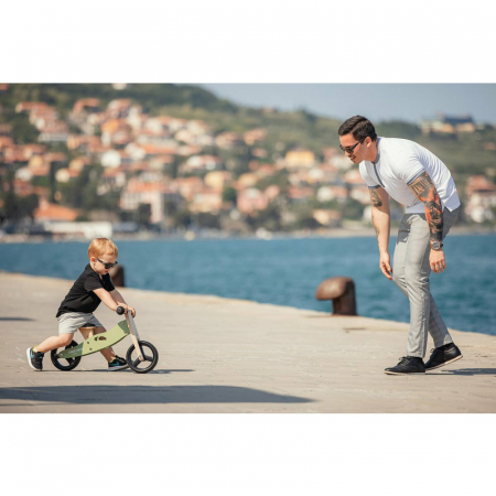 Bicicleta/tricicleta fara pedale, Free2Move, Din lemn, 2 in 1, Functie de bicicleta echilibru, Scaun reglabil, Roti ajustabile, Manere antiderapante, Varsta 1-3 ani, Conform cu standardele europene EN [10]