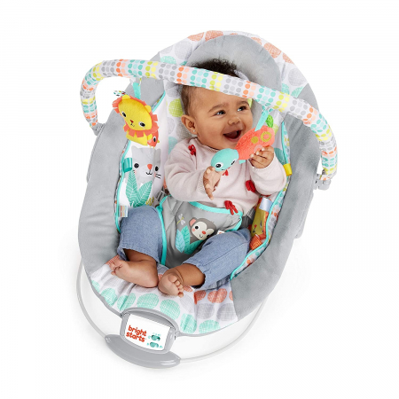 Bright Starts - Leagan si balansoar Whimsical Wild [4]