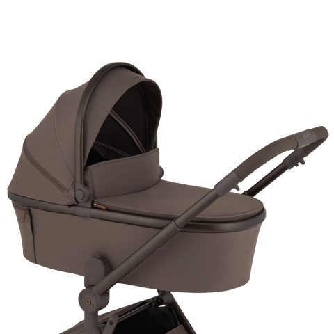 Carucior 2 în 1 Anex Flo [44]