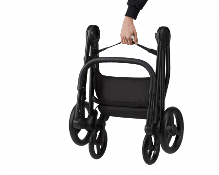 Carucior 2 in 1 Anex IQ [16]