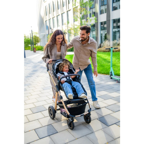 Carucior 2 in 1, Lionelo, Amber, Cadru aluminiu, Cu landou intarit si salteluta moale, Reversibil, Maner ajustabil, Huse pentru picioare, ploaie, Plasa de tantari, Geanta parinti, Pana la 22 kg, EN188 [31]