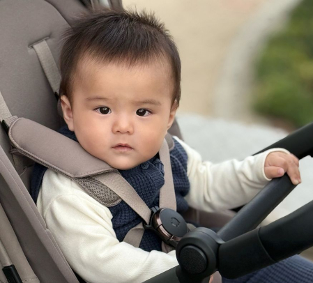 Carucior Anex Modu [11]