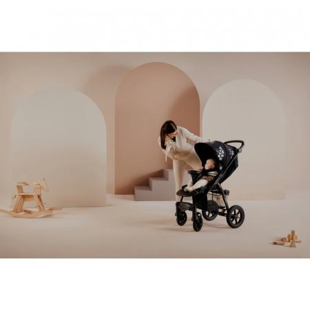 Carucior sport, Lionelo, Annet Tour Golden Moments, Editie Limitata, 0 luni+, Capotina impermeabila UPF 50+, Maner reglabil, Plasa de tantari, Suport biberon, Saculet pentru picioare, Pana la 22 kg, C [28]