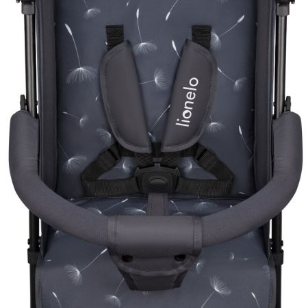 Carucior sport, Lionelo, Elia, Cu plasa de tantari, Conform cu standardul european de securitate EN1888-1, Gri inchis [5]