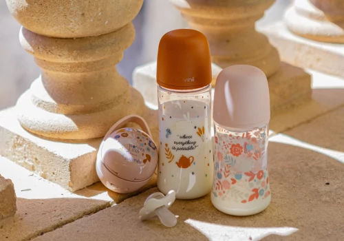 Cutie pentru 2 suzete Suavinex Wonderland Duo [3]