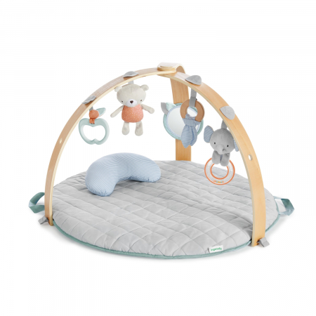 Jucarii si Jocuri - Ingenuity - Salteluta de activitati cu doua fete Cozy Spot
