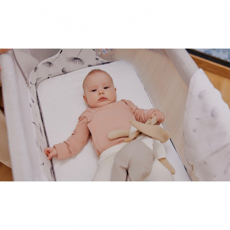 Patut co-sleeper, Lionelo, Aurora, 3 in 1, Cu leganare si setare unghiulara, Include saltea cu densitate T25 si geanta transport, Reglabil in 5 pozitii, Pana la 9 kg, 0 luni+, 85x60x66 cm, Certificari [45]