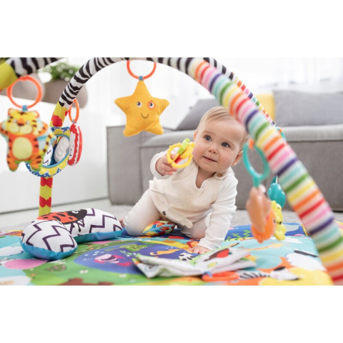 Salteluta interactiva, Lionelo, Anika, Cu jucarii, Oglinda, Perna, Conform cu standardul european de securitate EN71, Multicolor [10]