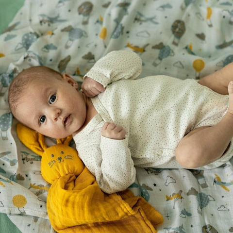 Set 3 scutece, Petite&Mars, Moussy, Din muselina de bambus, Hipoalergenice, 68 x 68 cm, Certificate Oeko Tex Standard 100, Botanic Tones [11]