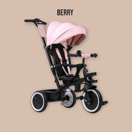 Tricicleta copii, Lionelo, Berry, 2 in 1, Multifunctionala, Suport picioare, Control al directiei, Scaun reversibil, Rotire 360 grade, Functie de roata libera, Utilizare pana la 5 ani, Constructie din [39]