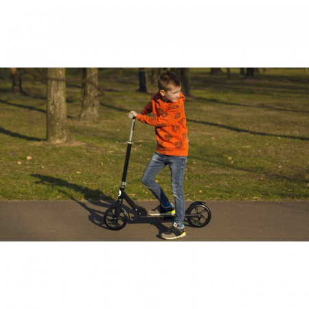Trotineta, Lionelo, Luca, Pentru copii sau adulti, Ultrapliabila, Pana la 100 Kg, Conform cu standardul european de securitate EN14619, Roz [22]