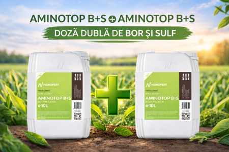 Pachete produse - PACHET 10 L + 10 L Aminotop B+S