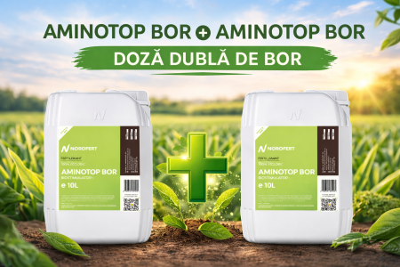 Pachete produse - PACHET 10 L +10 L Aminotop Bor