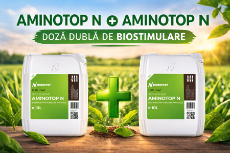 PACHET 10 L + 10 L Aminotop N