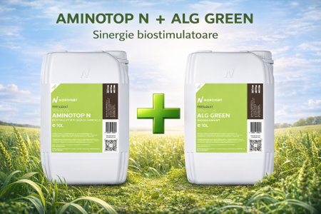PACHET 10 L Aminotop N + 10 L AlgGreen