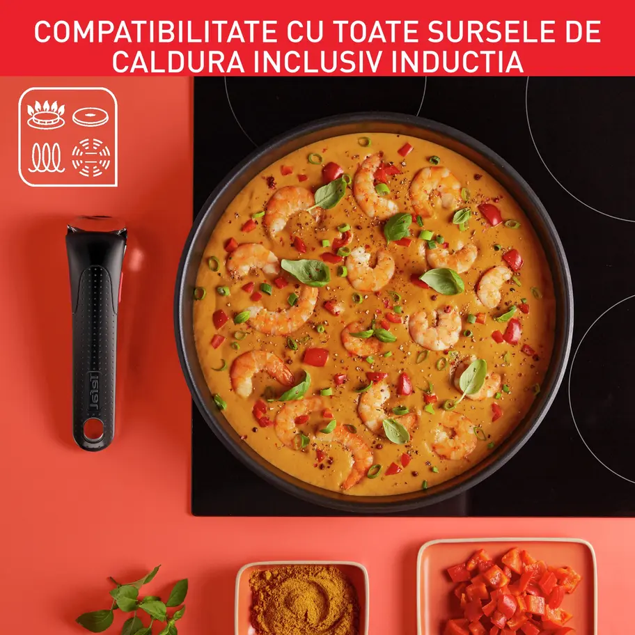Set vase Tefal Ingenio Emotion L897SB74, 11 piese, inox, mânere detașabile [12]