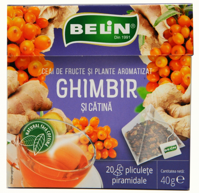Ceai Ghimbir si Catina 20 pl piramidale, 40 g [3]